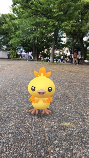 【ポケモンGO】横浜･反町公園でコミュニティデイを死ぬほど楽しんだゾ！～アチャモ編～