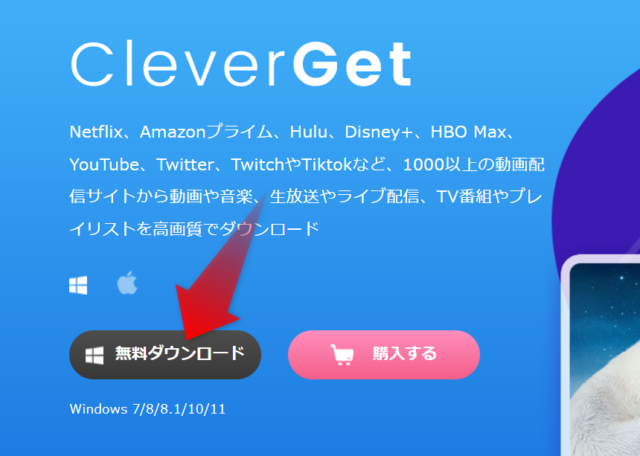 CleverGET　メリット　デメリット　購入